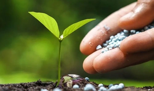 Fertilizer and Seed Distribution