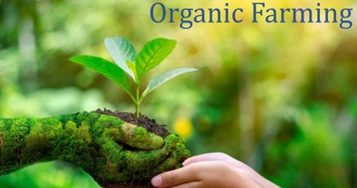 Organic Farming