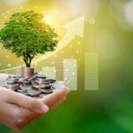 Financial Freedom