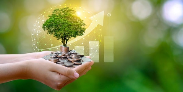 Financial Freedom