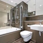 Water Closet and Western Toilet