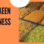 Namkeen Business